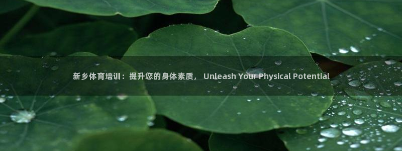 耀世娱乐登陆地址：新乡体育培训：提升您的身体素质， 