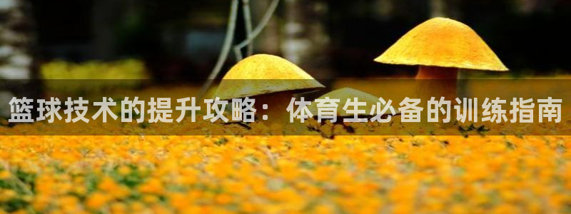 耀世平台注册流程图片：篮球技术的提升攻略：体育生必备