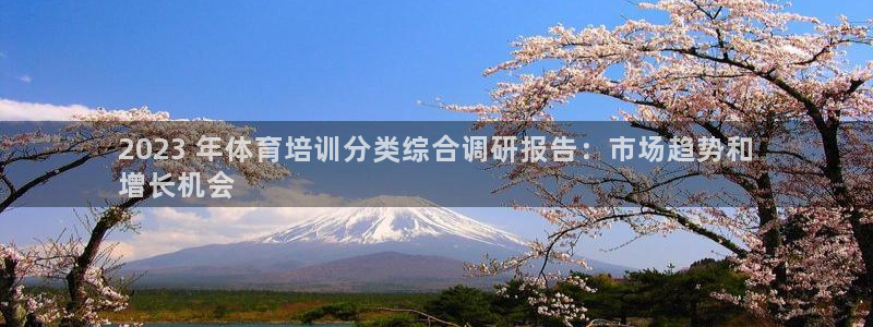 耀世娱乐能提现：2023 年体育培训分类综合调研报告
