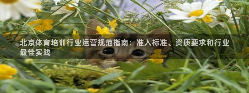 耀世娱乐可以玩吗：北京体育培训行业运营规范指南：准入