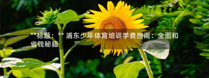 耀世娱乐挂机教程视频：**标题：** 浦东少年体育培