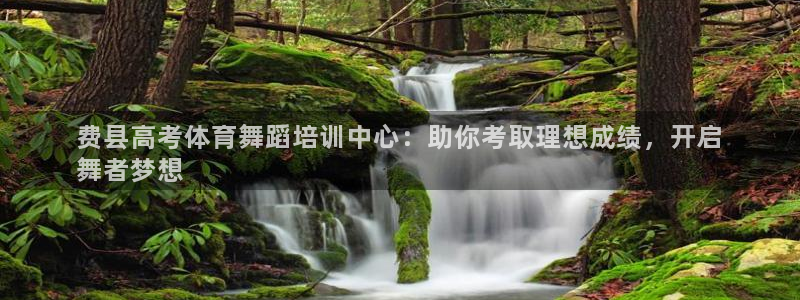 耀世平台代理怎么做的：费县高考体育舞蹈培训中心：助你