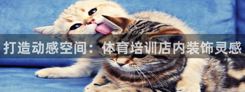 耀世娱乐脚本不死挂机能玩吗：打造动感空间：体育培训店