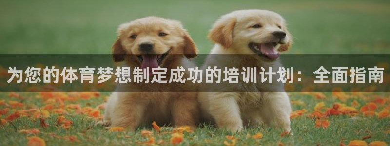 耀世平台注册链接失败：为您的体育梦想制定成功的培训计