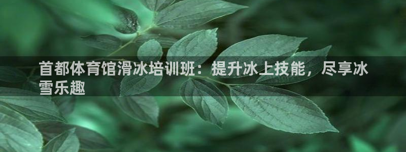 耀世娱乐如何登录平台：首都体育馆滑冰培训班：提升冰上