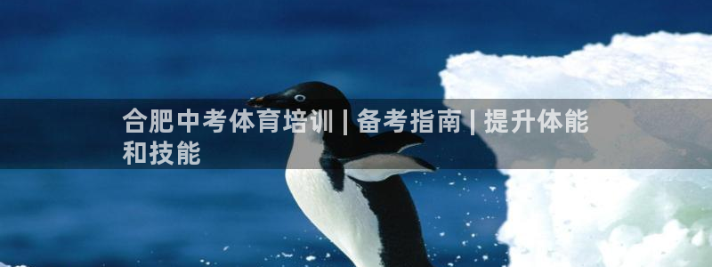 耀世平台代理怎么样可靠吗：合肥中考体育培训 | 备考