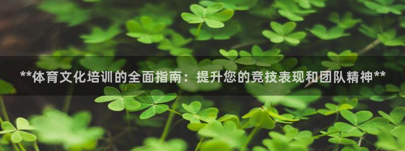 耀世娱乐能提现：**体育文化培训的全面指南：提升您的