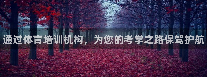 耀世平台哪个彩种是公平彩的：通过体育培训机构，为您的