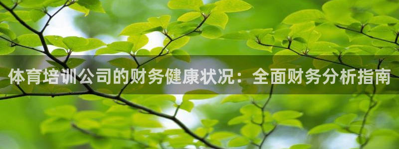 耀世娱乐升 5O6917 娱乐：体育培训公司的财务健