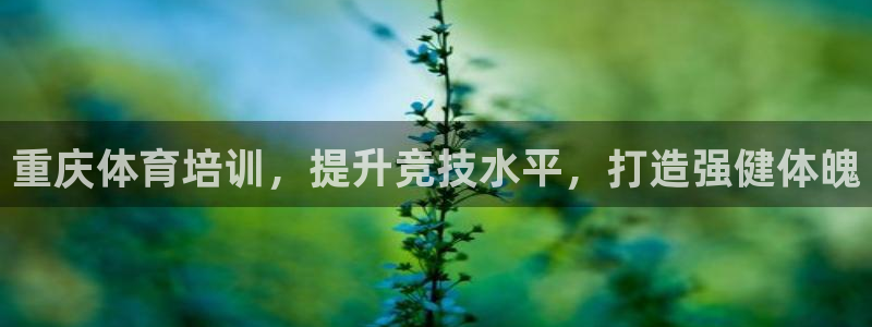 耀世平台的运营模式：重庆体育培训，提升竞技水平，打造