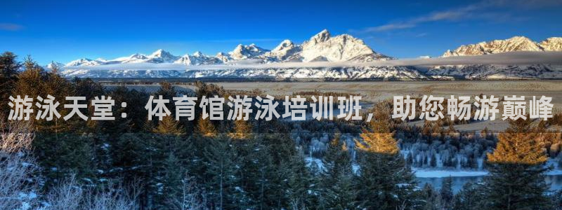 耀世娱乐挂机教程：游泳天堂：体育馆游泳培训班，助您畅