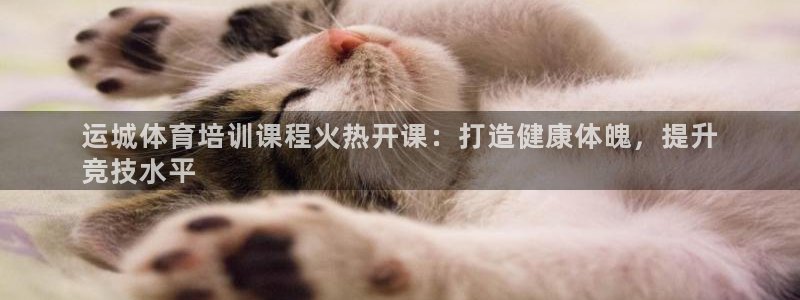 耀世游戏：运城体育培训课程火热开课：打造健康体魄，提