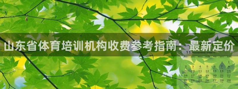 耀世官网：山东省体育培训机构收费参考指南：最新定价