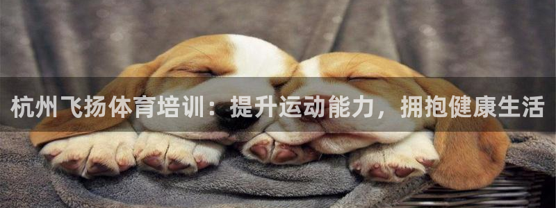 耀世平台有很多登录地址怎么办：杭州飞扬体育培训：提升