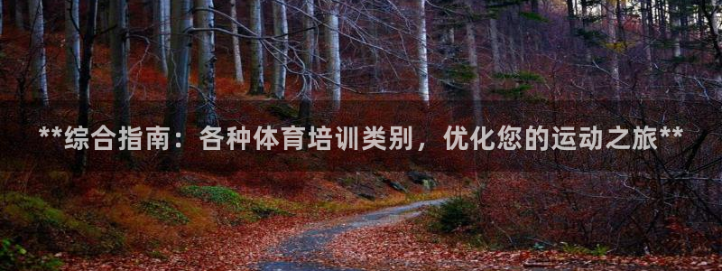 耀世挑战怎么过：**综合指南：各种体育培训类别，优化