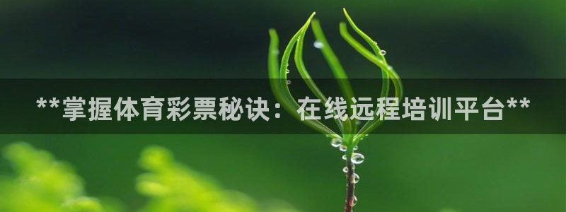 耀世平台下载：**掌握体育彩票秘诀：在线远程培训平台