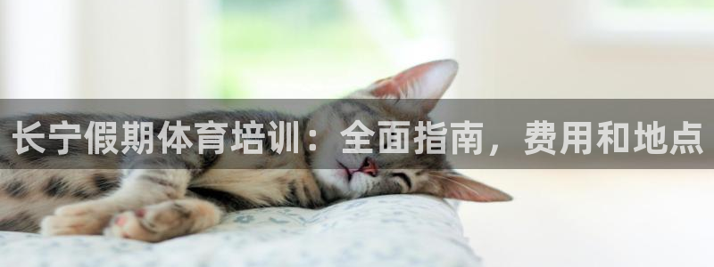 耀世登场的意思：长宁假期体育培训：全面指南，费用和地