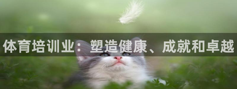 耀世国际平台正规吗可信吗