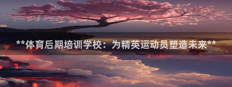耀世娱乐平台官网登录不了了：**体育后期培训学校：为