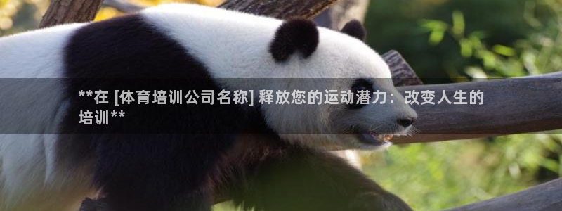 耀世平台哪个彩种是公平彩