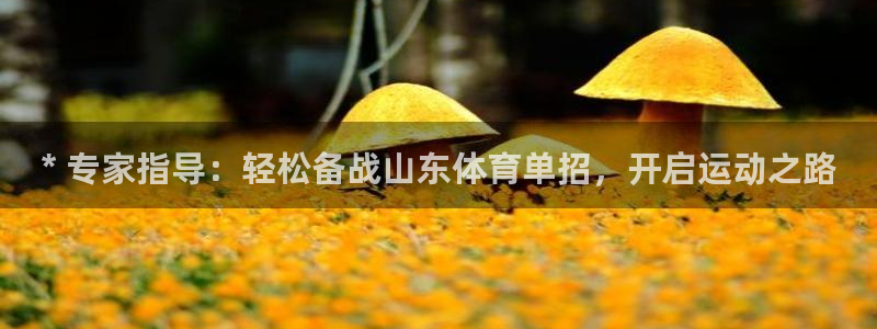 耀世娱乐下载链接安装包：* 专家指导：轻松备战山东体