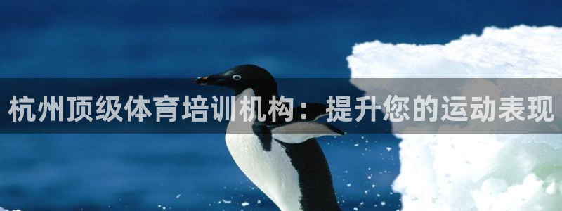 耀世娱乐注册资金多少：杭州顶级体育培训机构：提升您的
