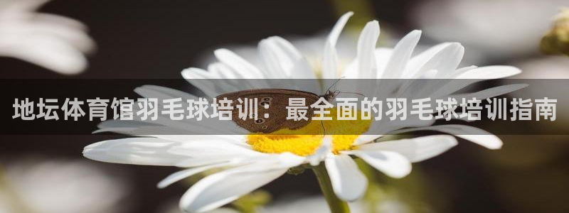 四川耀世发展集团