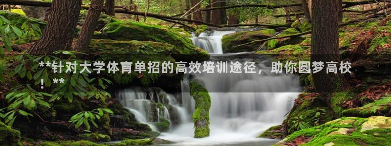 耀世娱乐网站官网：**针对大学体育单招的高效培训途径