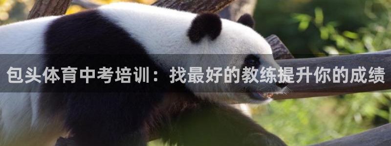 耀世娱乐老板：包头体育中考培训：找最好的教练提升你的