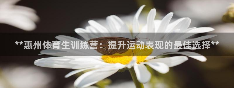 耀世娱乐官方网站入口