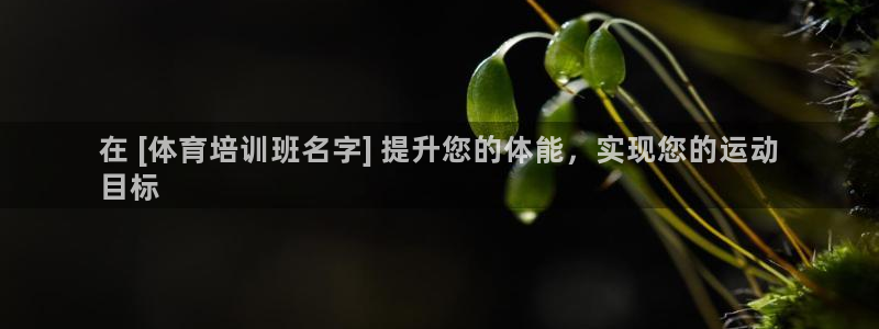 耀世开业是什么意思