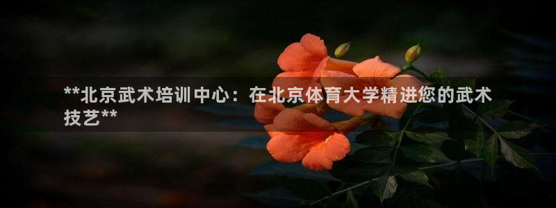耀世集团董事长：**北京武术培训中心：在北京体育大学