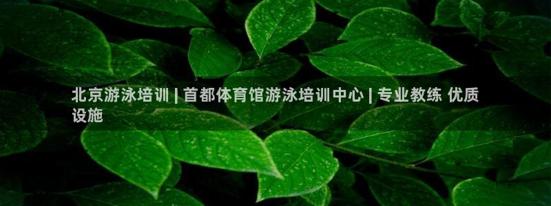 耀世平台：北京游泳培训 | 首都体育馆游泳培训中心 