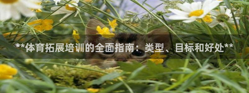 耀世娱乐提现失败原因：**体育拓展培训的全面指南：类