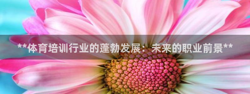 耀世娱乐软件下载：**体育培训行业的蓬勃发展：未来的