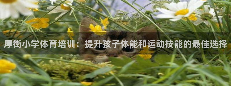 耀世娱乐注册开户：厚街小学体育培训：提升孩子体能和运