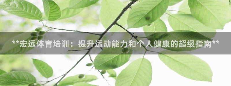 耀世平台代理怎么做：**宏远体育培训：提升运动能力和