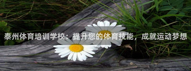 耀世娱乐联 585341：泰州体育培训学校：提升您的