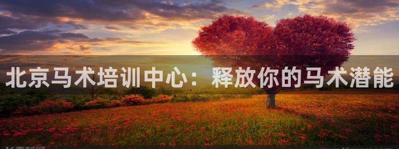 耀世娱乐违法吗：北京马术培训中心：释放你的马术潜能