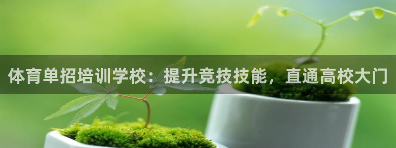 耀世娱乐是不是赚钱：体育单招培训学校：提升竞技技能，