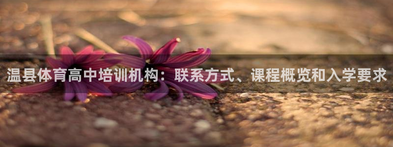 耀世集团：温县体育高中培训机构：联系方式、课程概览和
