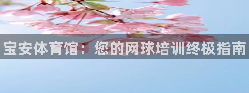 耀世娱乐注册等7O777：宝安体育馆：您的网球培训终