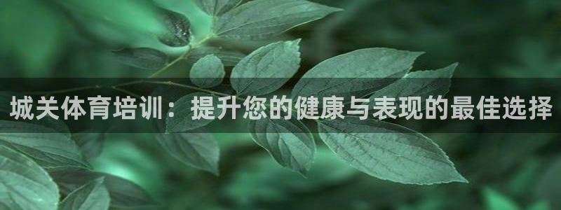 耀世娱乐是不是很黑的：城关体育培训：提升您的健康与表