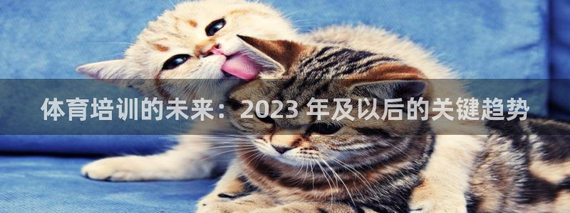 耀世娱乐老板：体育培训的未来：2023 年及以后的关