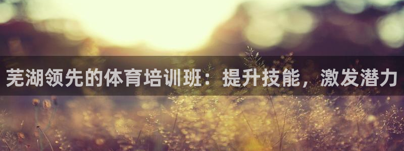 耀世平台代理怎么样啊：芜湖领先的体育培训班：提升技能