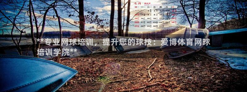 耀世娱乐是玛雅旗下的吗知乎：**专业网球培训，提升您
