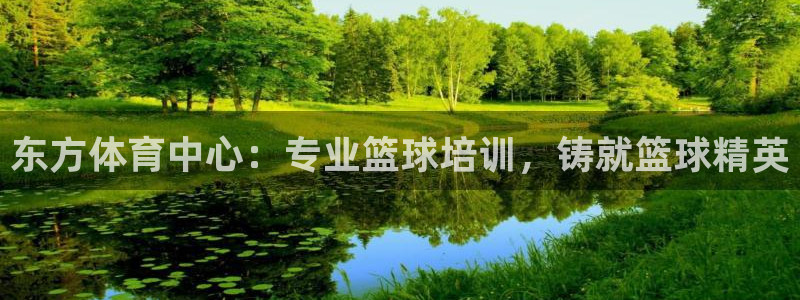耀世登场下一句：东方体育中心：专业篮球培训，铸就篮球