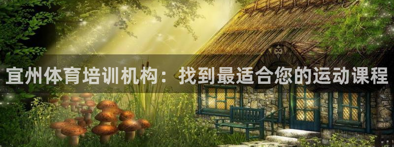 耀世集团王总：宜州体育培训机构：找到最适合您的运动课