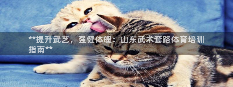 耀世平台军7O777：**提升武艺，强健体魄：山东武