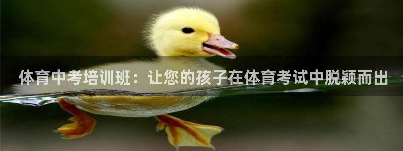 耀世娱乐平台主管： 体育中考培训班：让您的孩子在体育